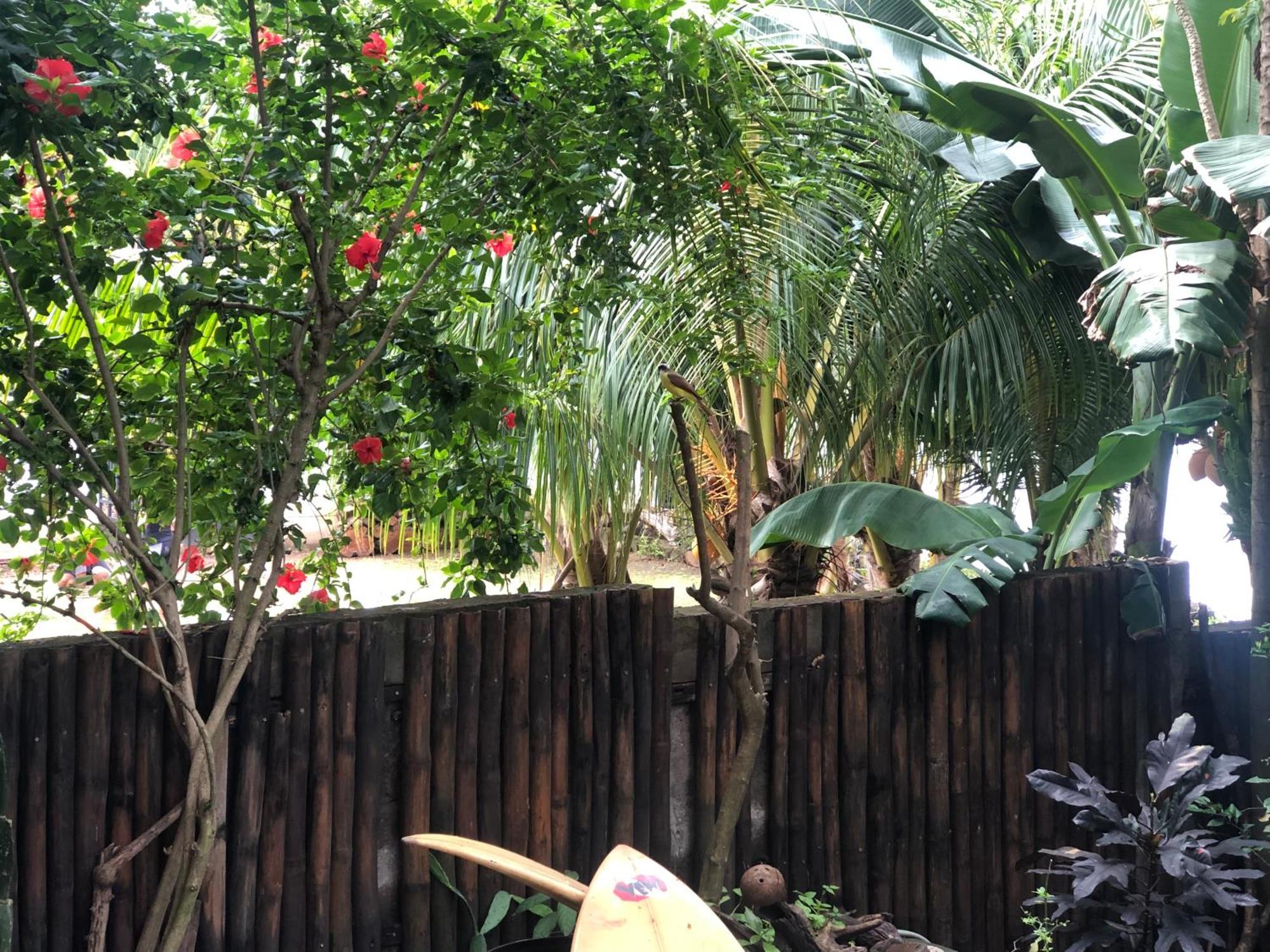 El Marabu Chill'N Surf Bed & Breakfast Aposentillo Dış mekan fotoğraf