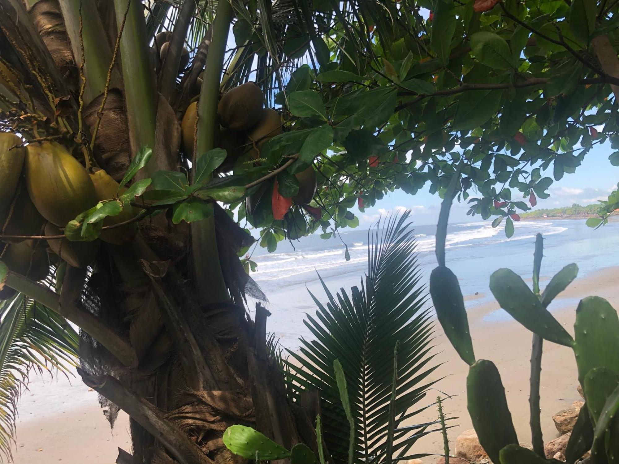 El Marabu Chill'N Surf Bed & Breakfast Aposentillo Dış mekan fotoğraf